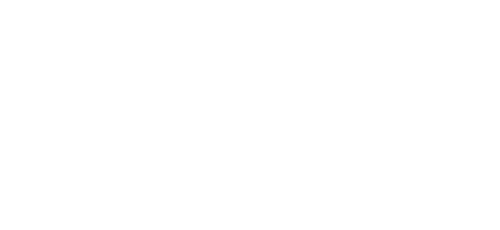 رویل پے logo
